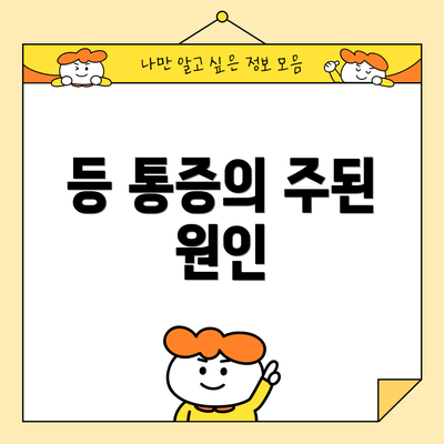 등 통증의 주된 원인