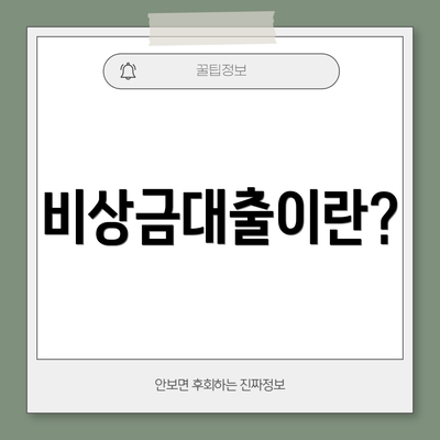 비상금대출이란?