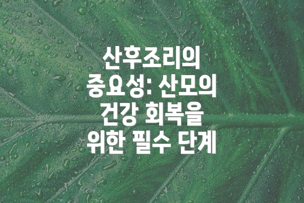 산후조리의 중요성: 산모의 건강 회복을 위한 필수 단계