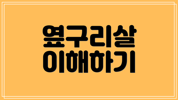 옆구리살 이해하기