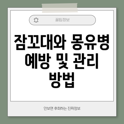 잠꼬대와 몽유병 예방 및 관리 방법