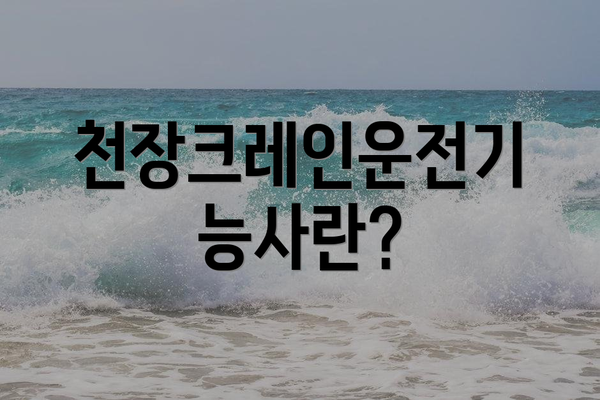 천장크레인운전기능사란?