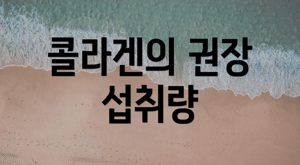 콜라겐의 권장 섭취량