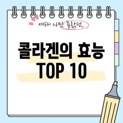 콜라겐의 효능 TOP 10