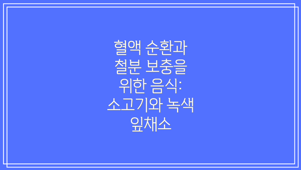 혈액 순환과 철분 보충을 위한 음식: 소고기와 녹색 잎채소