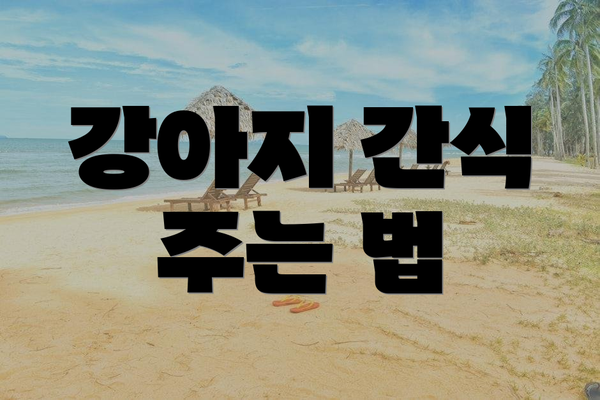 강아지 간식 주는 법