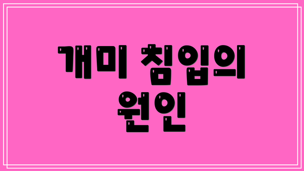 개미 침입의 원인