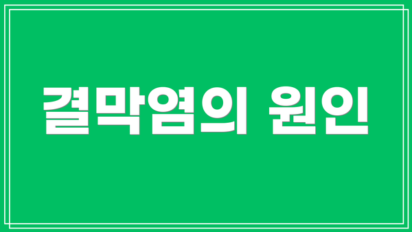 결막염의 원인