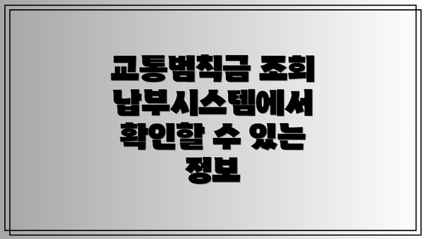 교통범칙금 조회납부시스템에서 확인할 수 있는 정보