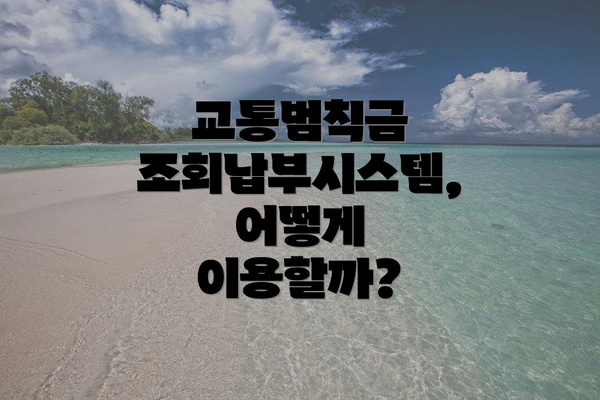교통범칙금 조회납부시스템, 어떻게 이용할까?