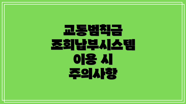 교통범칙금 조회납부시스템 이용 시 주의사항