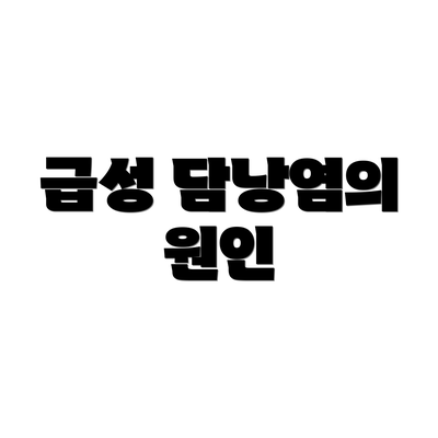 급성 담낭염의 원인