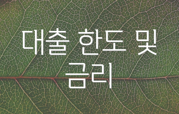 대출 한도 및 금리