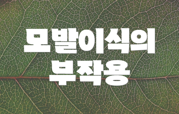 모발이식의 부작용