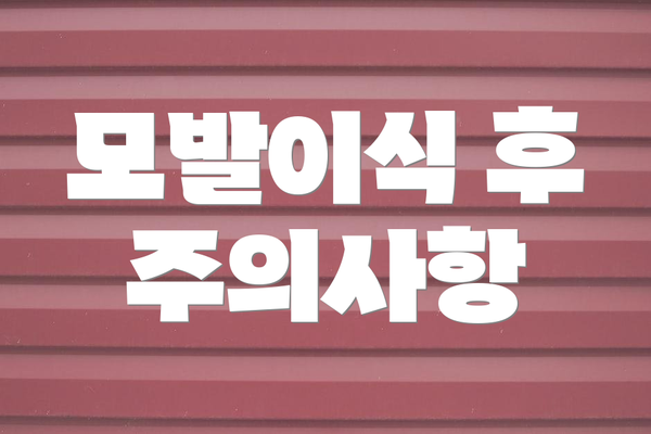 모발이식 후 주의사항