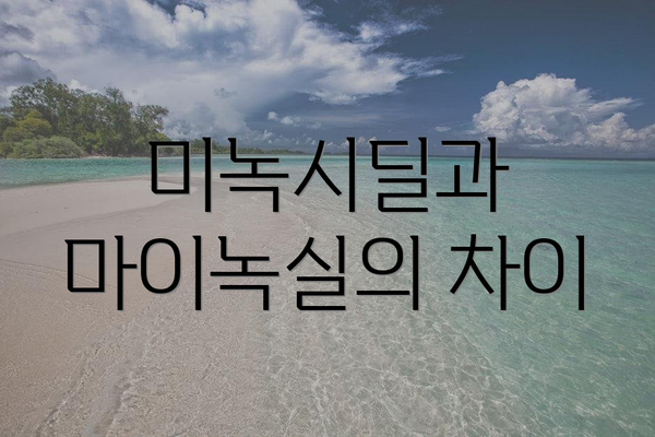 미녹시딜과 마이녹실의 차이