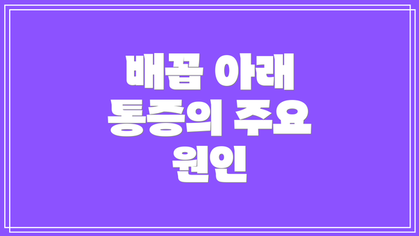 배꼽 아래 통증의 주요 원인