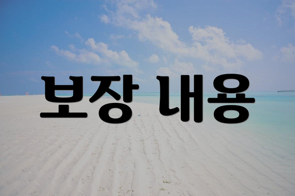 보장 내용
