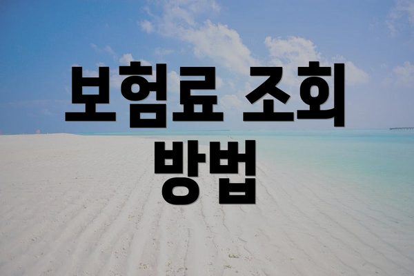 보험료 조회 방법