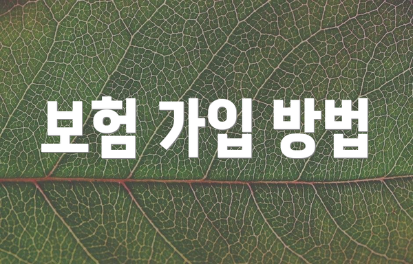 보험 가입 방법