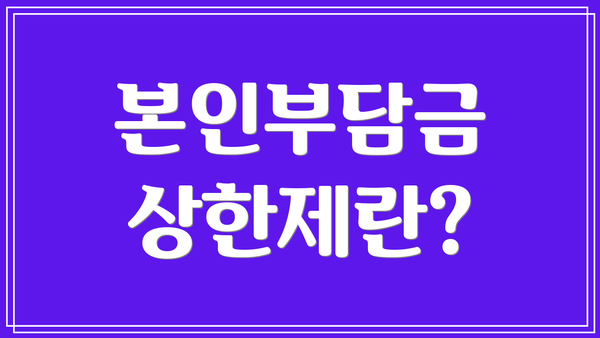 본인부담금 상한제란?