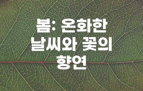 봄: 온화한 날씨와 꽃의 향연