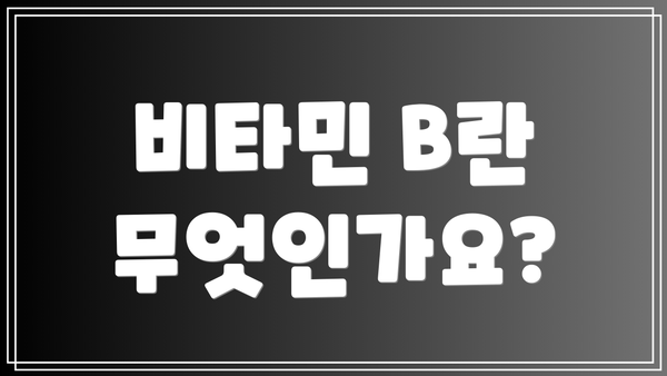 비타민 B란 무엇인가요?