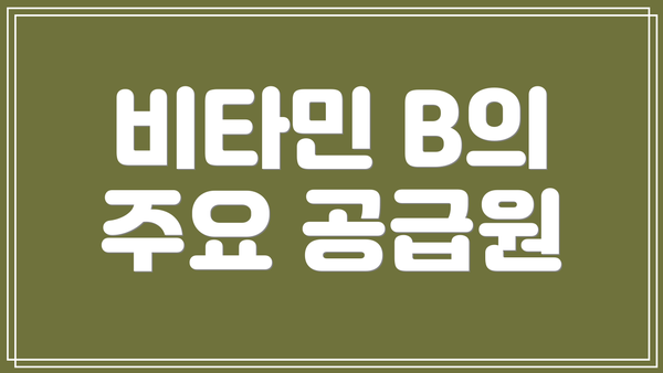 비타민 B의 주요 공급원