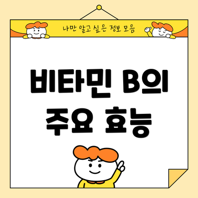 비타민 B의 주요 효능