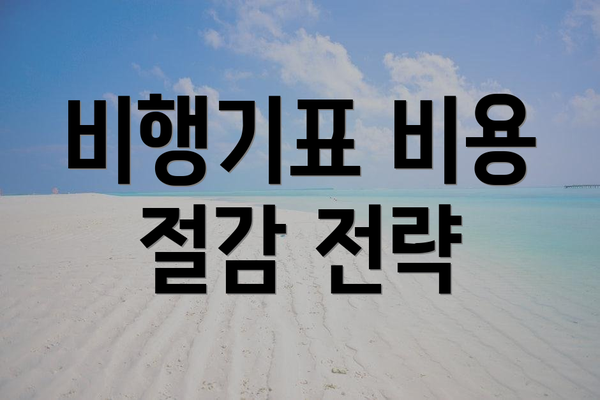 비행기표 비용 절감 전략