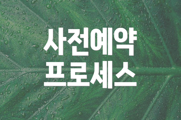 사전예약 프로세스