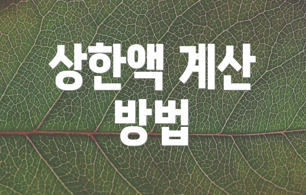 상한액 계산 방법