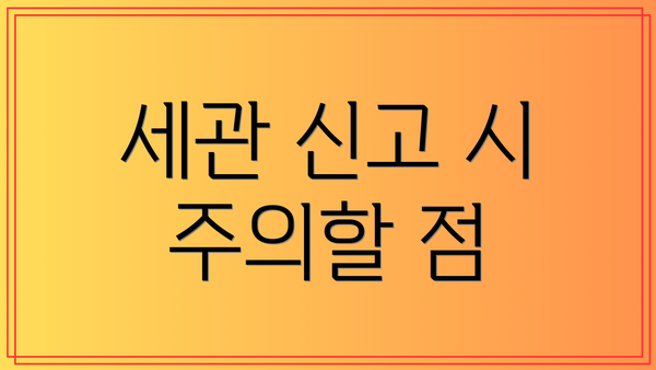 세관 신고 시 주의할 점