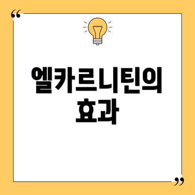 엘카르니틴의 효과