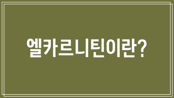 엘카르니틴이란?