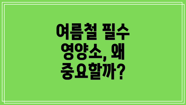 여름철 필수 영양소, 왜 중요할까?