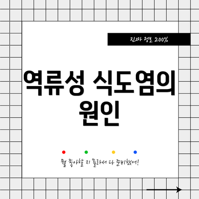 역류성 식도염의 원인