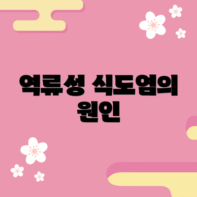 역류성 식도염의 원인