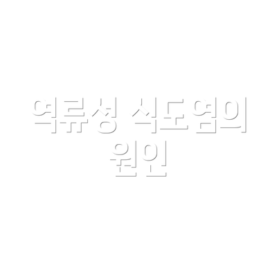 역류성 식도염의 원인