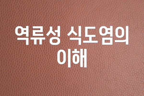 역류성 식도염의 이해