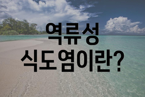 역류성 식도염이란?