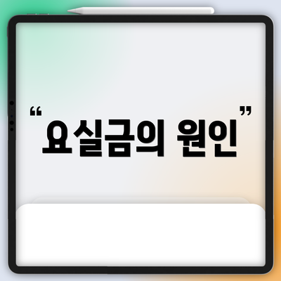 요실금의 원인