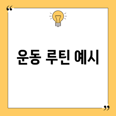 운동 루틴 예시