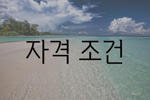 자격 조건