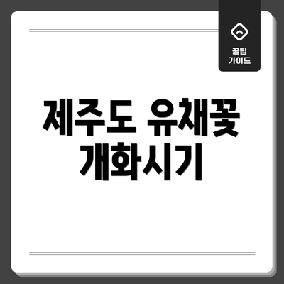 제주도 유채꽃 개화시기