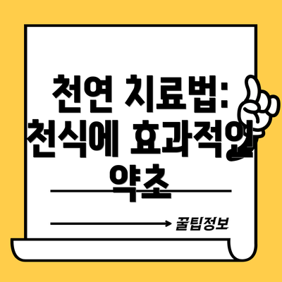 천연 치료법: 천식에 효과적인 약초