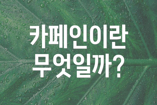 카페인이란 무엇일까?