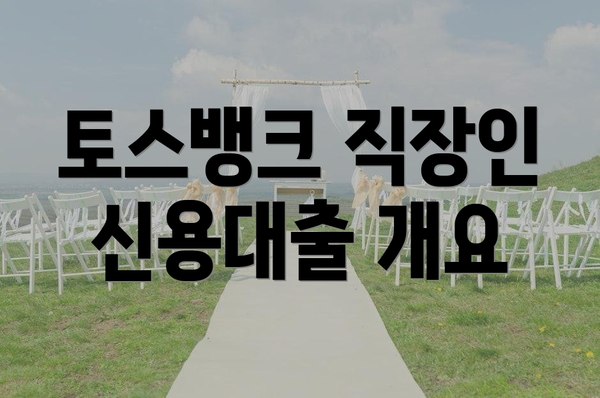 토스뱅크 직장인 신용대출 개요