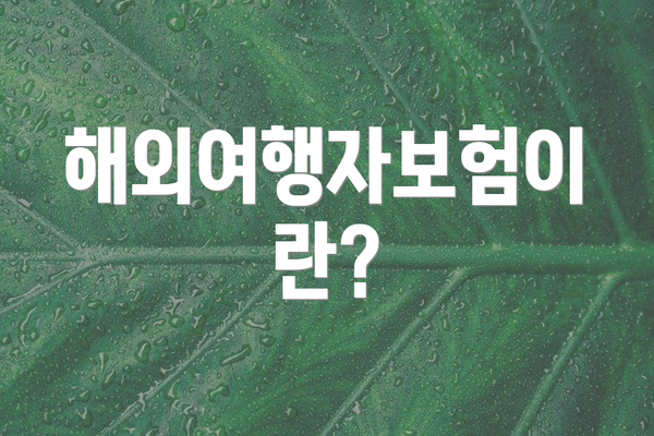 해외여행자보험이란?