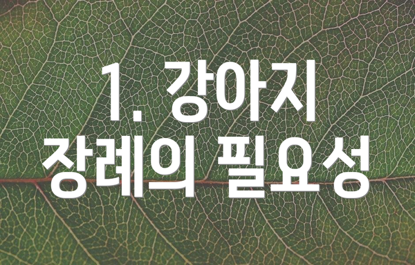 1. 강아지 장례의 필요성